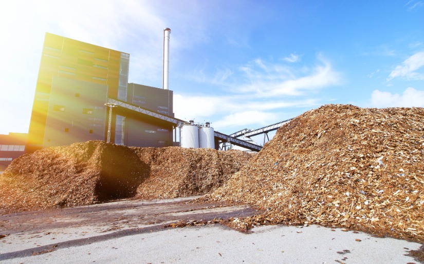 Biomass Energy: A Climate, Conservation, & Livelihoods Challenge